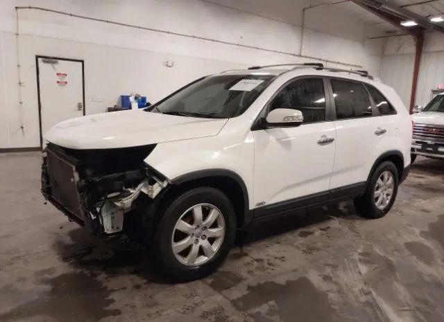 Photo 1 VIN: 5XYKTCA69DG337254 - KIA SORENTO 