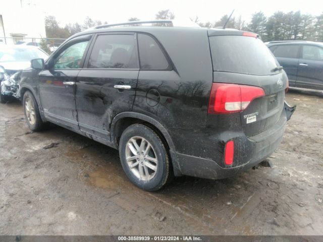 Photo 2 VIN: 5XYKTCA69EG521207 - KIA SORENTO 