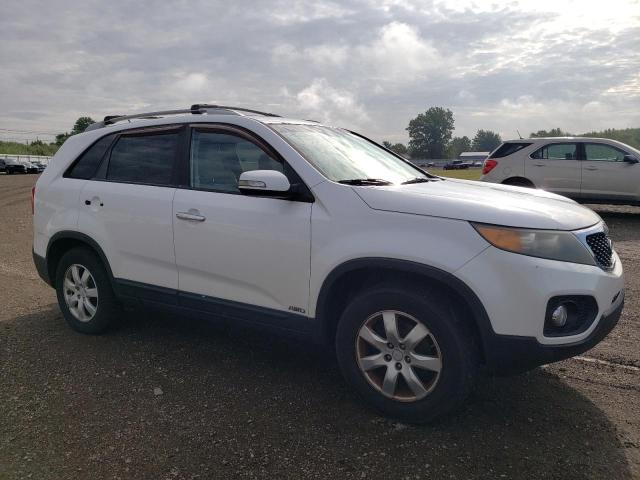 Photo 3 VIN: 5XYKTDA11BG178303 - KIA SORENTO 