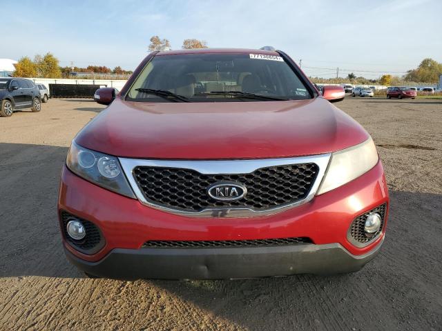 Photo 4 VIN: 5XYKTDA14BG071150 - KIA SORENTO BA 