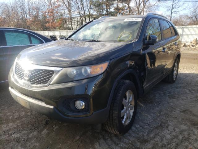 Photo 1 VIN: 5XYKTDA14BG175220 - KIA SORENTO BA 