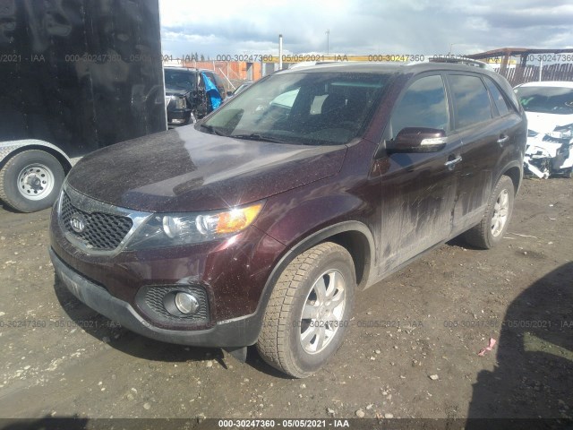 Photo 1 VIN: 5XYKTDA15BG163996 - KIA SORENTO 