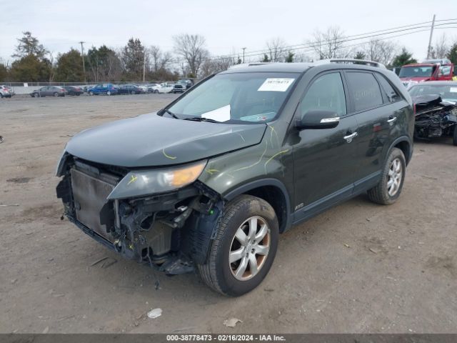 Photo 1 VIN: 5XYKTDA16BG141330 - KIA SORENTO 