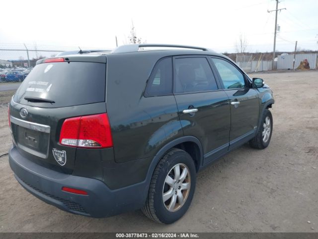 Photo 3 VIN: 5XYKTDA16BG141330 - KIA SORENTO 