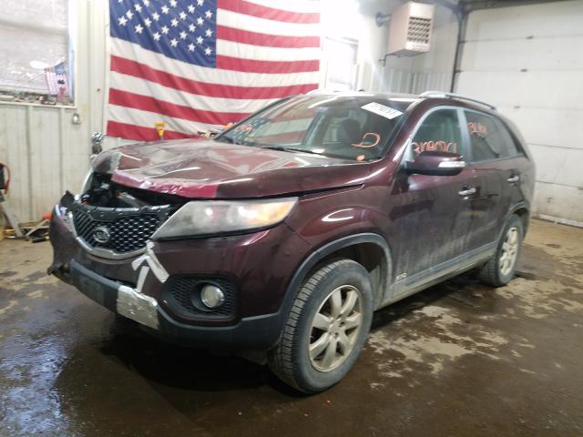 Photo 1 VIN: 5XYKTDA17BG024257 - KIA SORENTO 