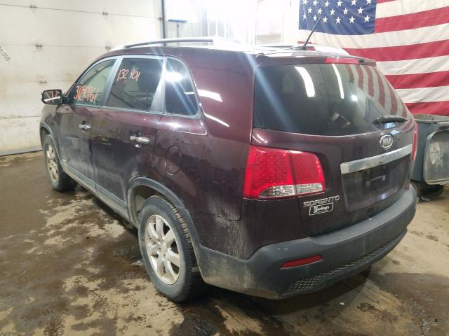 Photo 2 VIN: 5XYKTDA17BG024257 - KIA SORENTO 