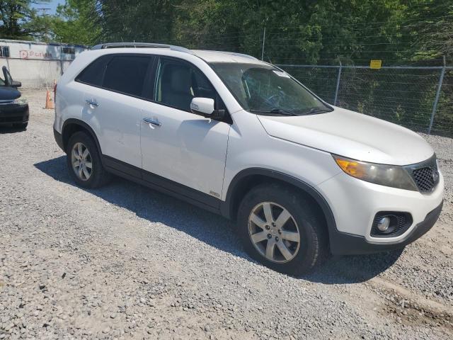 Photo 3 VIN: 5XYKTDA17BG155754 - KIA SORENTO 