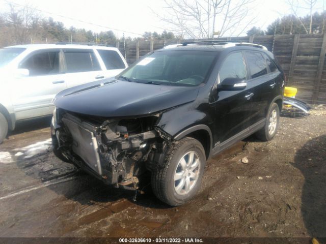 Photo 1 VIN: 5XYKTDA17BG181447 - KIA SORENTO 