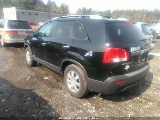 Photo 2 VIN: 5XYKTDA17BG181447 - KIA SORENTO 