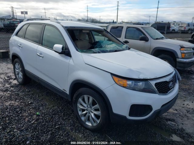 Photo 0 VIN: 5XYKTDA20BG060459 - KIA SORENTO 