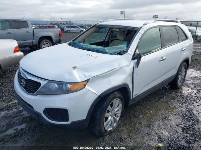 Photo 1 VIN: 5XYKTDA20BG060459 - KIA SORENTO 