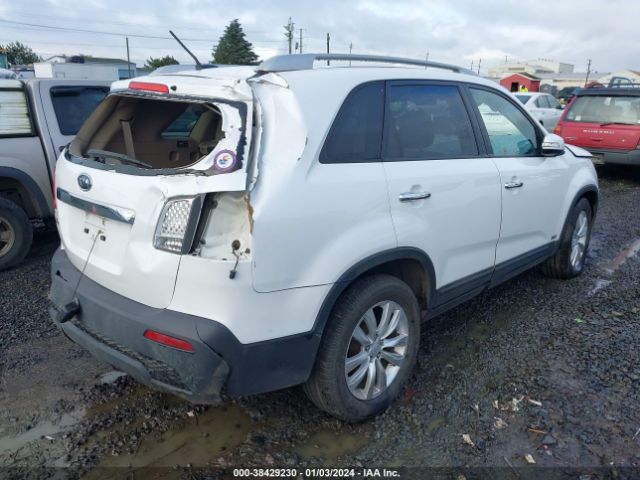 Photo 3 VIN: 5XYKTDA20BG060459 - KIA SORENTO 