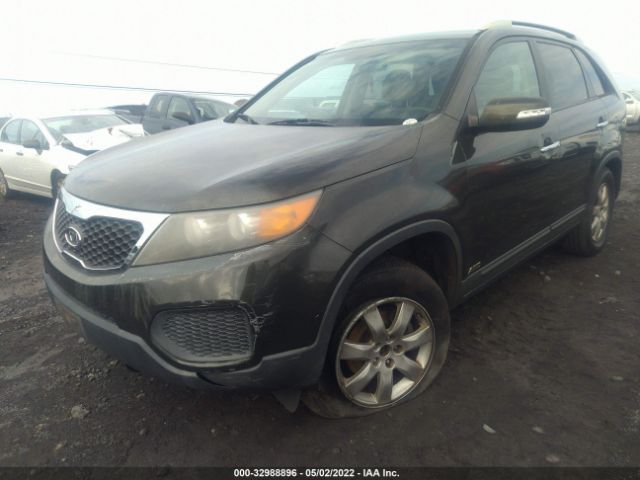 Photo 5 VIN: 5XYKTDA20BG151800 - KIA SORENTO 