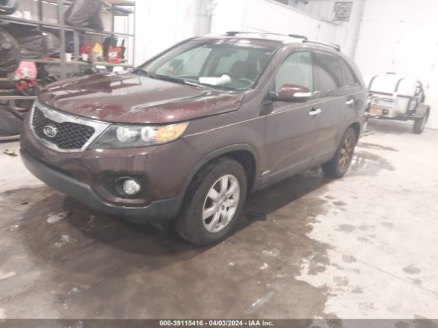 Photo 1 VIN: 5XYKTDA20DG313170 - KIA SORENTO 