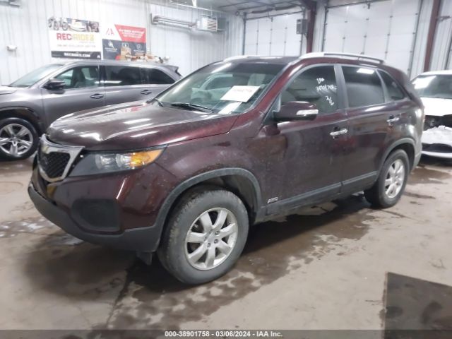 Photo 1 VIN: 5XYKTDA21BG152924 - KIA SORENTO 