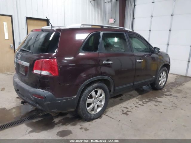 Photo 3 VIN: 5XYKTDA21BG152924 - KIA SORENTO 