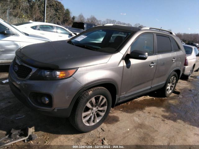 Photo 1 VIN: 5XYKTDA21BG159758 - KIA SORENTO 