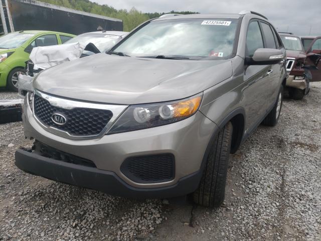 Photo 1 VIN: 5XYKTDA21DG389559 - KIA SORENTO LX 