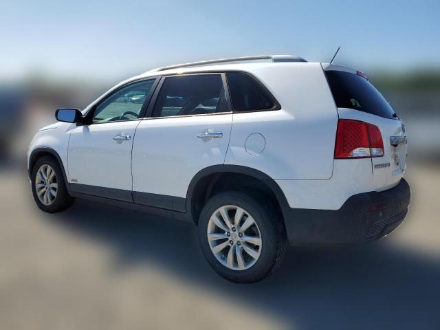 Photo 1 VIN: 5XYKTDA22BG066019 - KIA SORENTO 