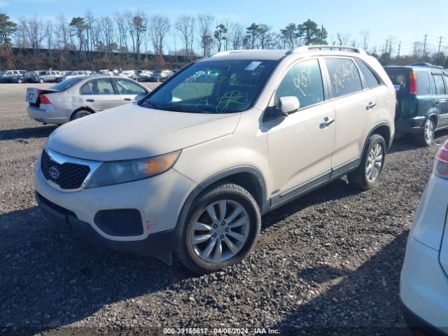 Photo 1 VIN: 5XYKTDA22BG069521 - KIA SORENTO 