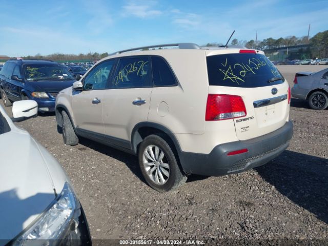 Photo 2 VIN: 5XYKTDA22BG069521 - KIA SORENTO 