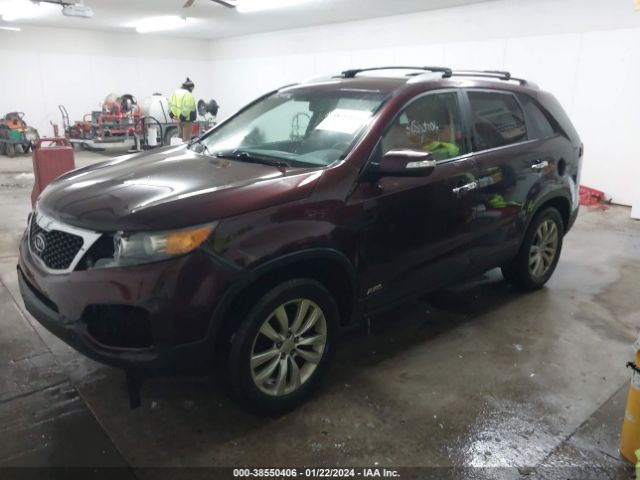 Photo 1 VIN: 5XYKTDA22BG136408 - KIA SORENTO 