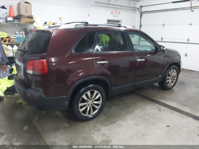 Photo 3 VIN: 5XYKTDA22BG136408 - KIA SORENTO 