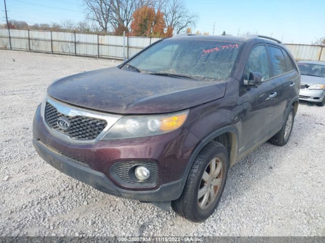 Photo 5 VIN: 5XYKTDA22CG226918 - KIA SORENTO 