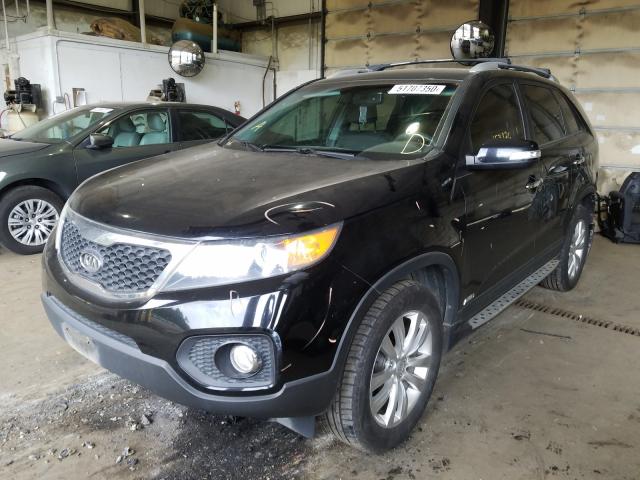 Photo 1 VIN: 5XYKTDA23BG166369 - KIA SORENTO 