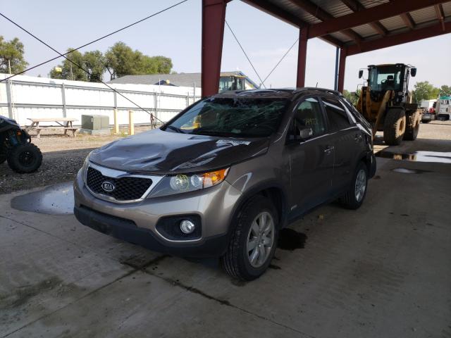 Photo 1 VIN: 5XYKTDA23DG312790 - KIA SORENTO 