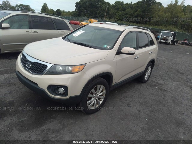 Photo 1 VIN: 5XYKTDA24BG075319 - KIA SORENTO 