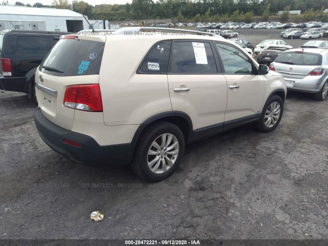 Photo 3 VIN: 5XYKTDA24BG075319 - KIA SORENTO 