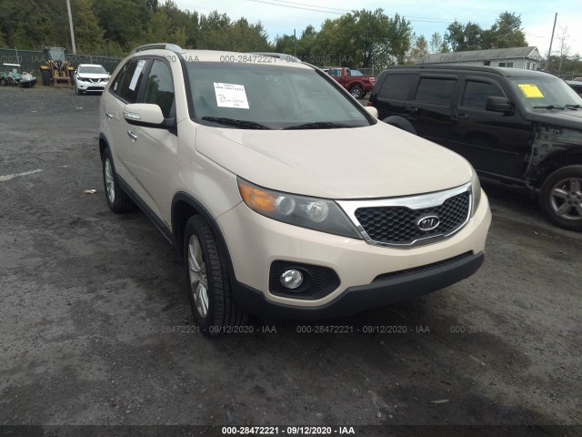 Photo 5 VIN: 5XYKTDA24BG075319 - KIA SORENTO 