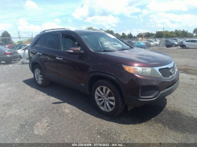 Photo 0 VIN: 5XYKTDA24BG079077 - KIA SORENTO 