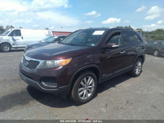 Photo 1 VIN: 5XYKTDA24BG079077 - KIA SORENTO 