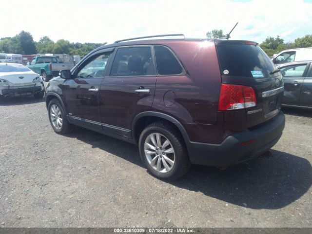 Photo 2 VIN: 5XYKTDA24BG079077 - KIA SORENTO 