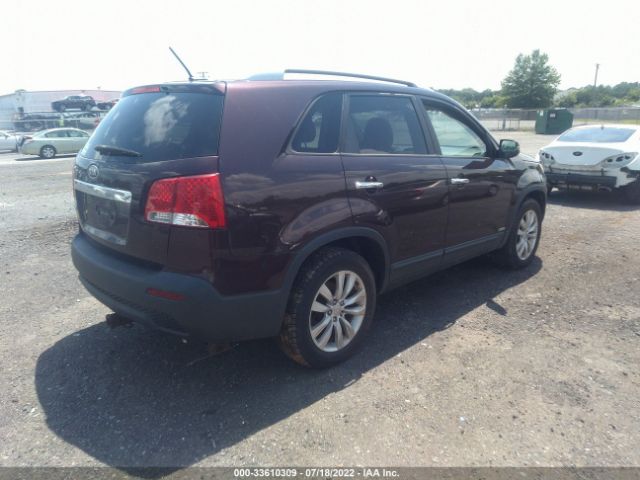 Photo 3 VIN: 5XYKTDA24BG079077 - KIA SORENTO 