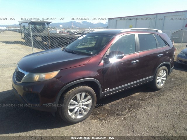 Photo 1 VIN: 5XYKTDA24BG079354 - KIA SORENTO 