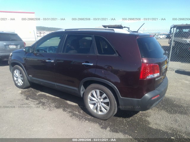 Photo 2 VIN: 5XYKTDA24BG079354 - KIA SORENTO 