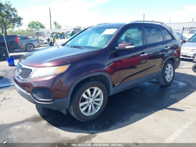 Photo 1 VIN: 5XYKTDA24BG112448 - KIA SORENTO 