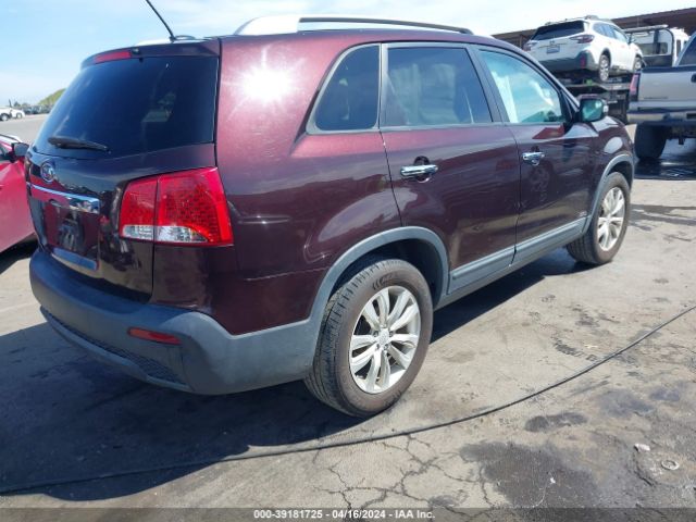 Photo 3 VIN: 5XYKTDA24BG112448 - KIA SORENTO 