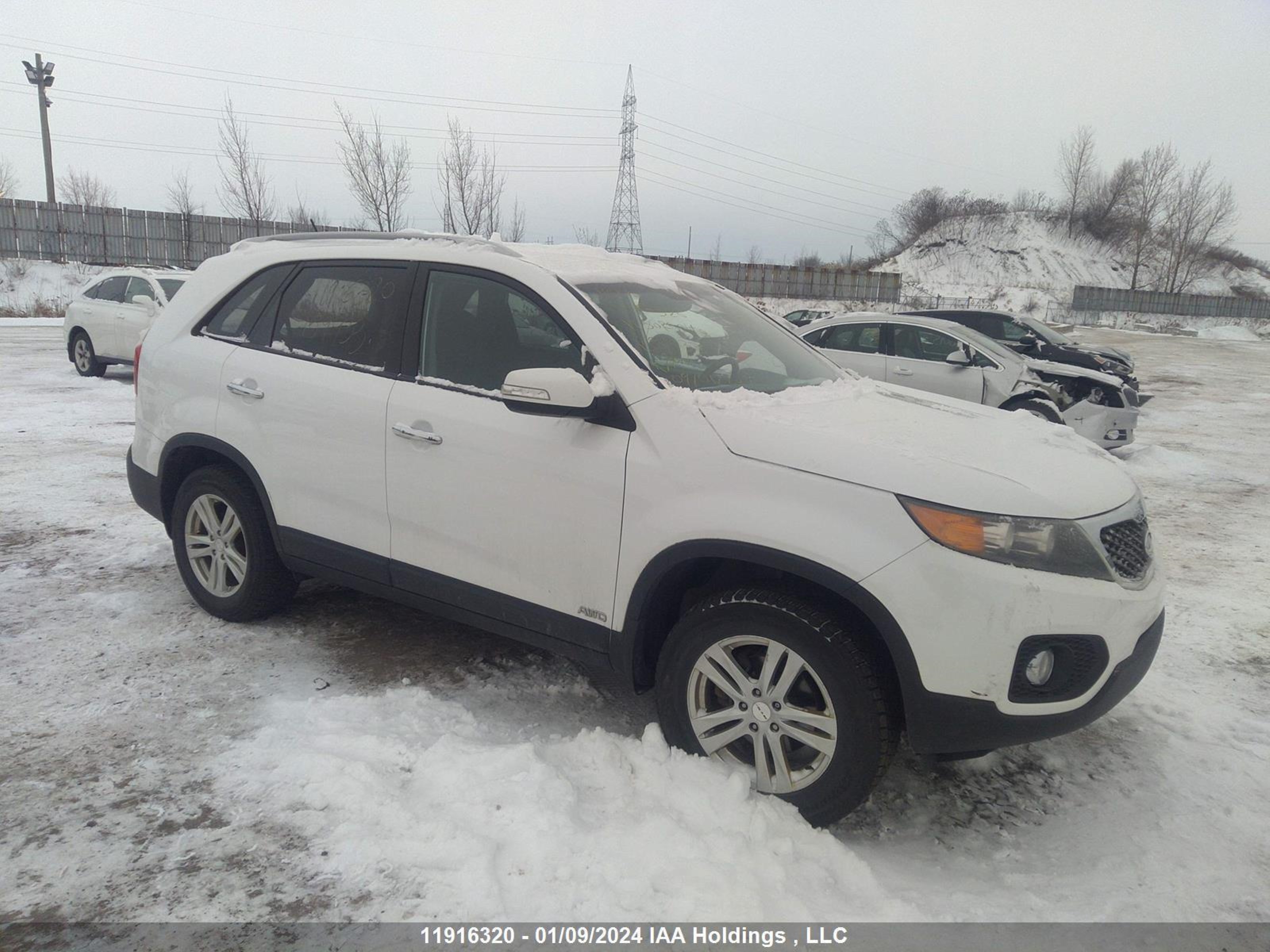 Photo 0 VIN: 5XYKTDA24BG159933 - KIA SORENTO 