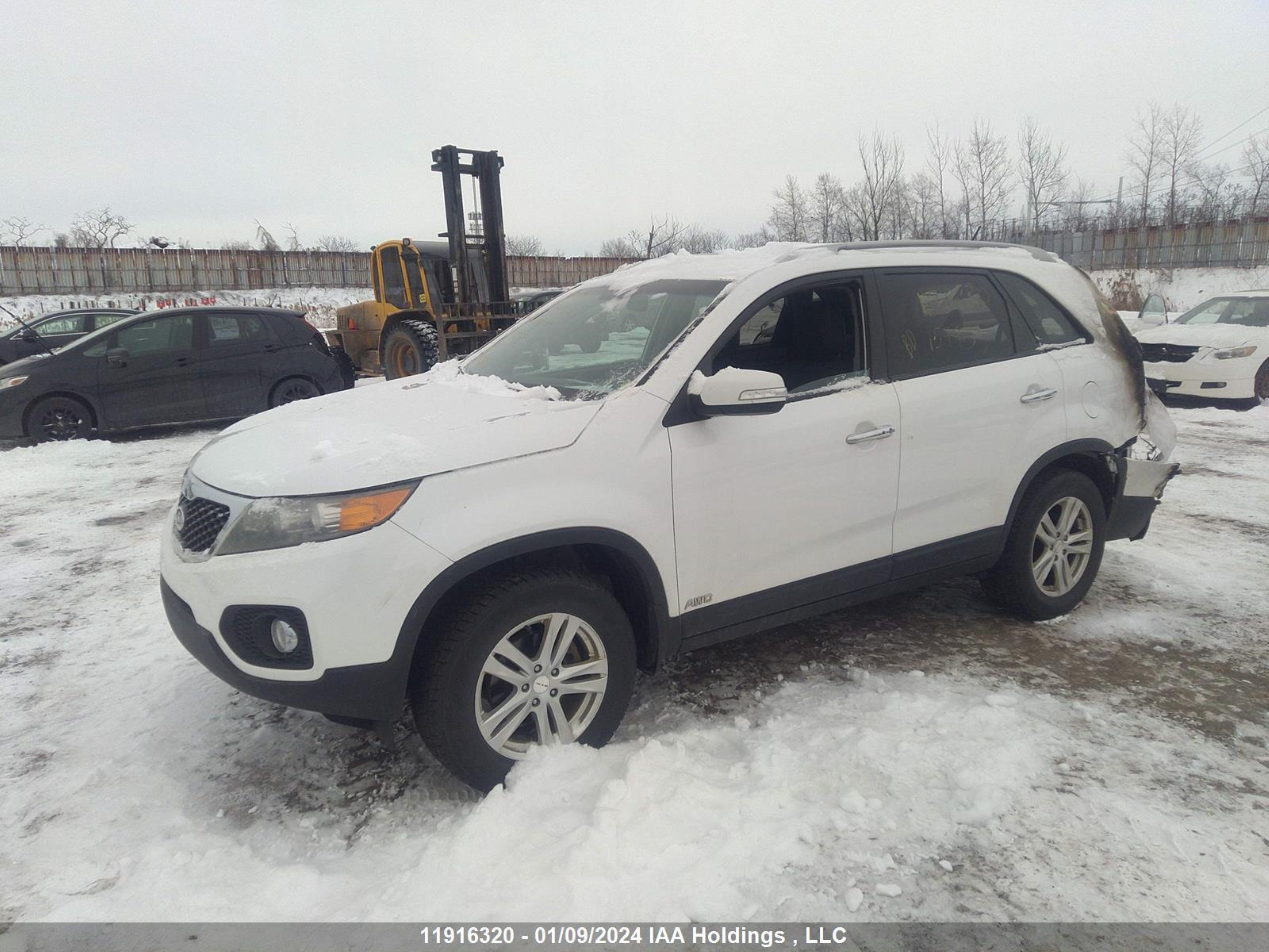 Photo 1 VIN: 5XYKTDA24BG159933 - KIA SORENTO 