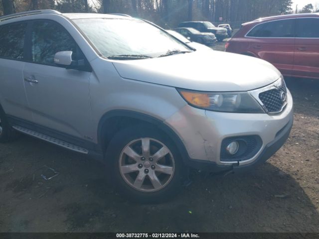 Photo 5 VIN: 5XYKTDA24DG340419 - KIA SORENTO 