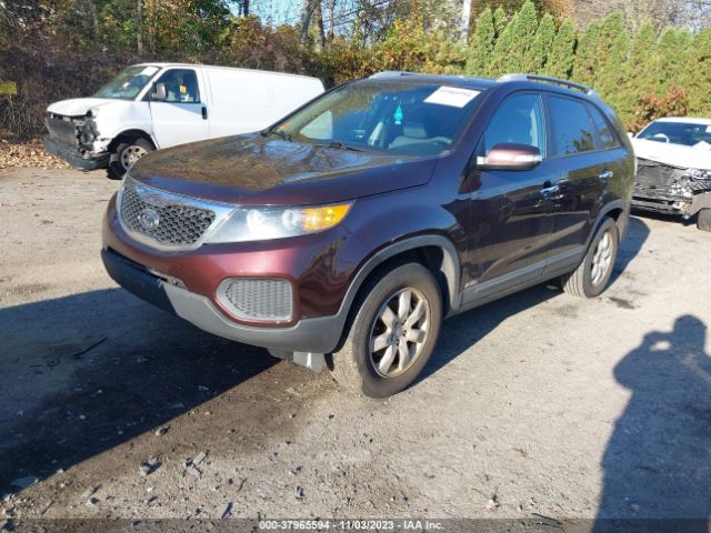 Photo 1 VIN: 5XYKTDA24DG348004 - KIA SORENTO 