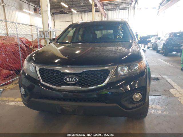 Photo 5 VIN: 5XYKTDA25DG312760 - KIA SORENTO 