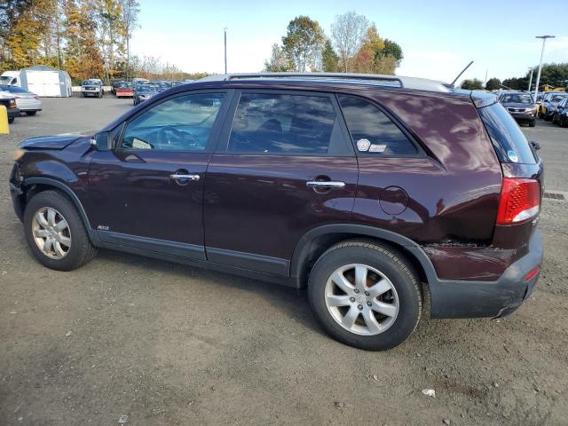 Photo 1 VIN: 5XYKTDA26BG115125 - KIA SORENTO 