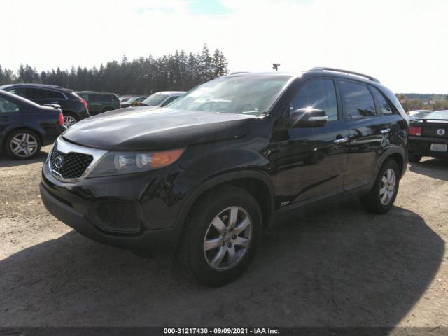 Photo 1 VIN: 5XYKTDA26DG336243 - KIA SORENTO 