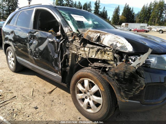 Photo 5 VIN: 5XYKTDA26DG336243 - KIA SORENTO 