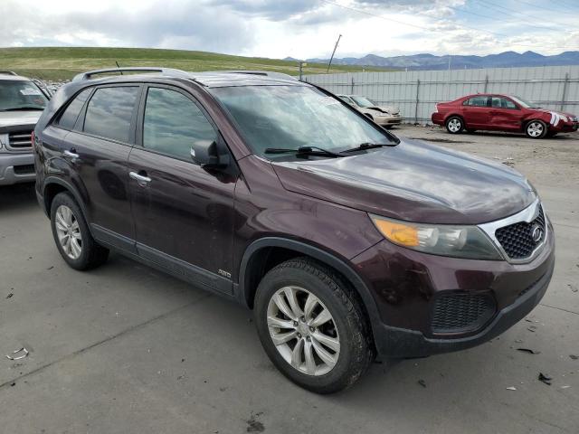 Photo 3 VIN: 5XYKTDA27BG079655 - KIA SORENTO 